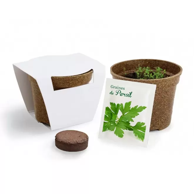 KIT PERSONNALISABLE DE PLANTATION JARDIN ECOLO 'ARROZY RRIZ' - persil