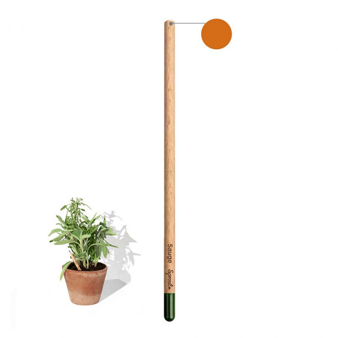 CRAYON COULEUR GRAINES PERSONNALISABLE 'POUSS COLOR' - sauge