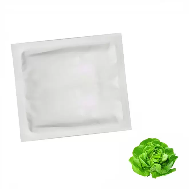 SACHET DE GRAINES PERSONNALISABLE EN QUADRI  'PLANTAI XS' - salade