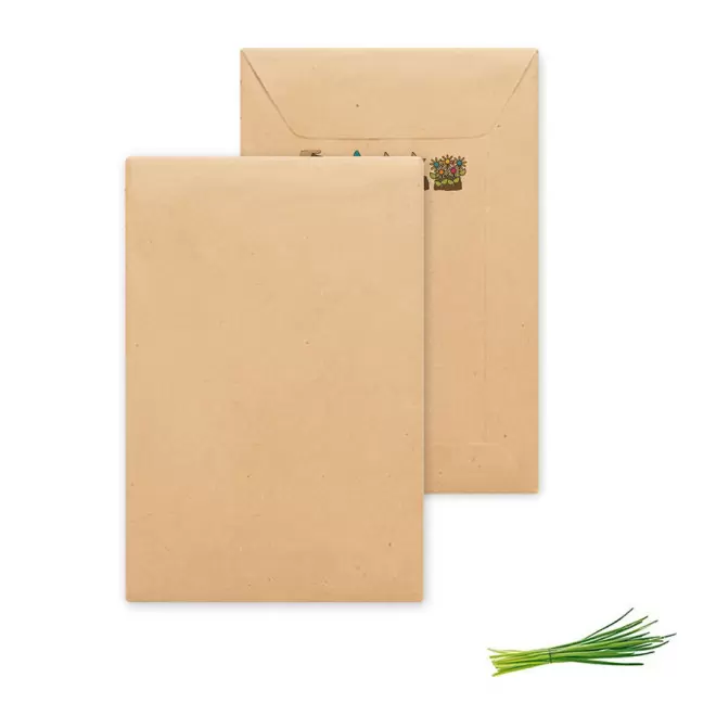 SACHET DE GRAINES PERSONNALISABLE 'FLAURE QUADRI' - ciboulette