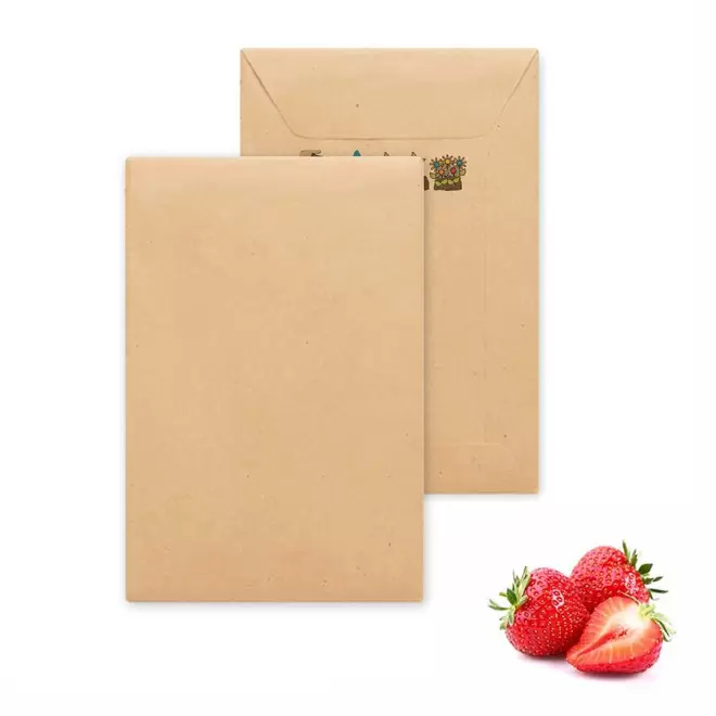 SACHET DE GRAINES PERSONNALISABLE 'FLAURE QUADRI' - fraise