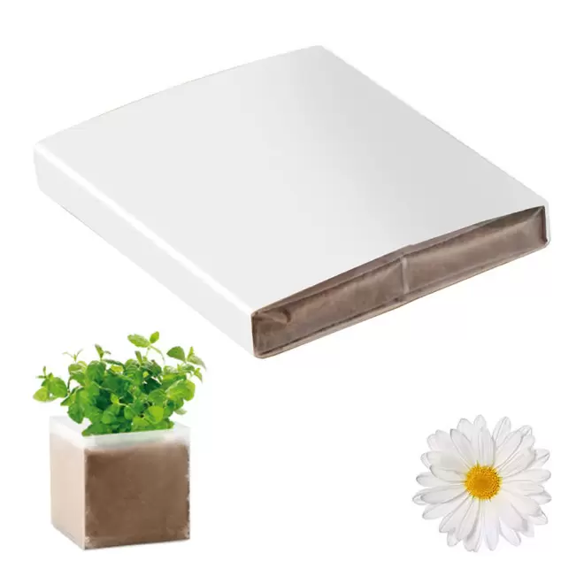 KIT PLANTATION PUBLICITAIRE SACHET PAPIER BLANC 'MUNDA QUADRI' - marguerite