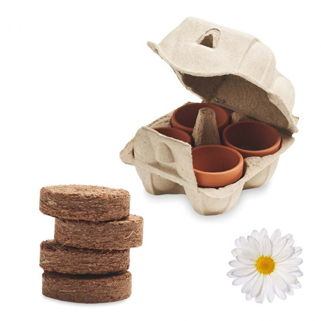 KIT DE PLANTATION PUBLICITAIRE PAPIER BLANC 'TERRI' - marguerite