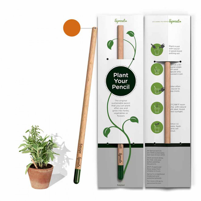 CRAYON DE COULEUR PERSONNALISABLE CARTONNETTE 'POUSS COLOR' - sauge