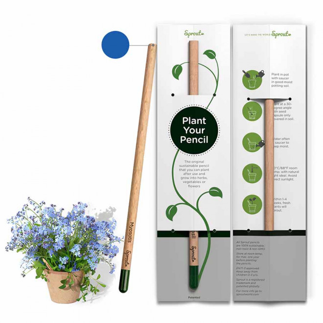 CRAYON DE COULEUR PERSONNALISABLE CARTONNETTE 'POUSS COLOR' - myosotis