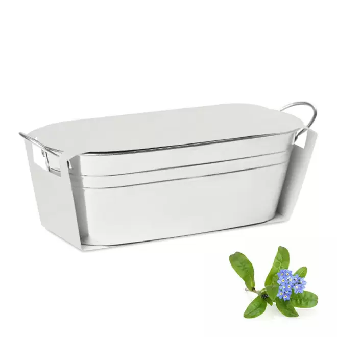 BAC A PLANTES PUBLICITAIRE 'BACAN BLANC' - myosotis