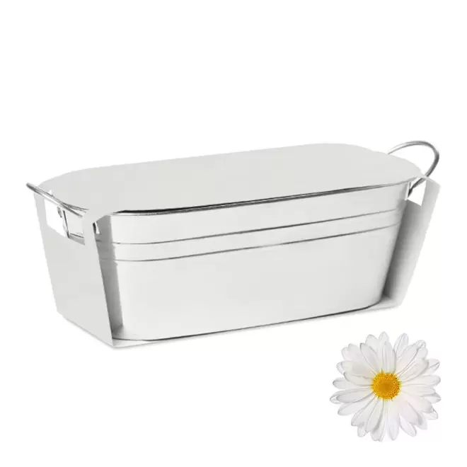 BAC A PLANTES PUBLICITAIRE 'BACAN BLANC' - marguerite