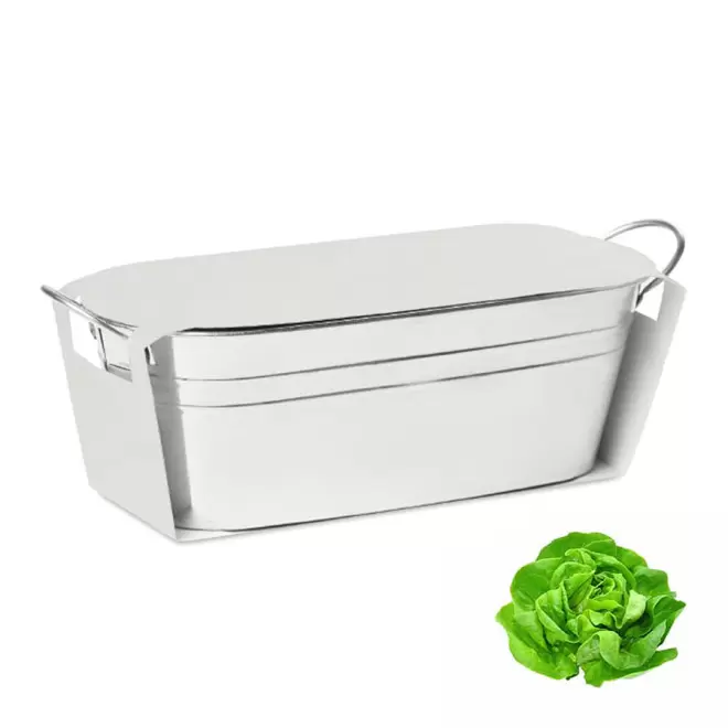 BAC A PLANTES PUBLICITAIRE 'BACAN BLANC' - salade