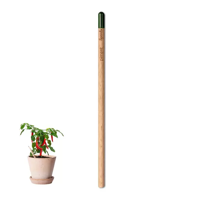 CRAYON PAPIER GRAINES PERSONNALISABLE 'POUSS' - piment