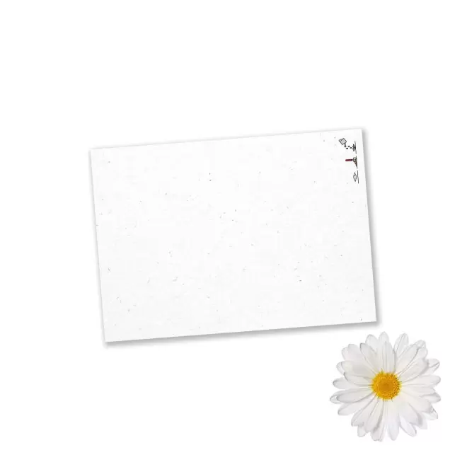 PAPIER ENSEMENCE MIE PERSONNALISE 'HORTUS' A6 - marguerite