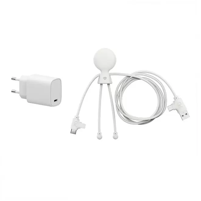 PACK DE CÂBLE ET PRISE PUBLICITAIRE XOOPAR® 'MR BIO FASTCHARGE PRISE 30W' 72H  - blanc