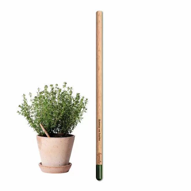 CRAYON GRAINES AVEC CARTONETTE PERSONNALISABLE 'POUSS HAPPY WORK' - thym