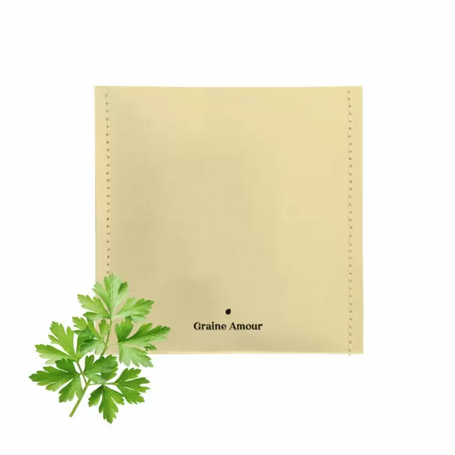 EXPRESS 72H - SACHET GRAINES PERSONNALISABLE 'SEMILLA' - jaune