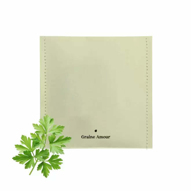 EXPRESS 72H - SACHET GRAINES PERSONNALISABLE 'SEMILLA' - vert