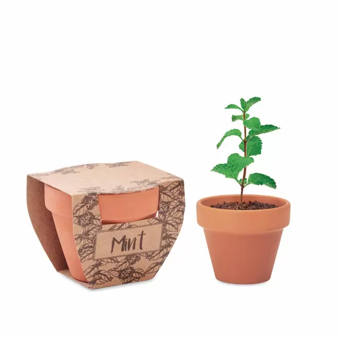 KIT DE PLANTATION PERSONNALISABLE 'POPPY' - menthe