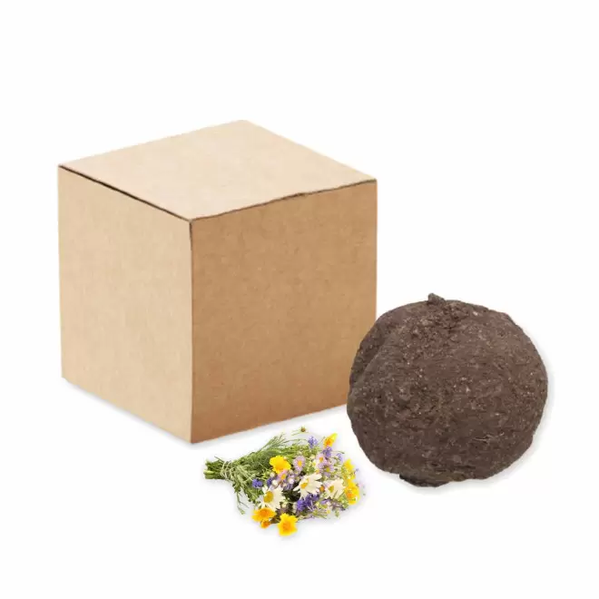 BOMBE A GRAINES PERSONNALISABLE 'BLOMA QUADRI' - fleurs sauvages