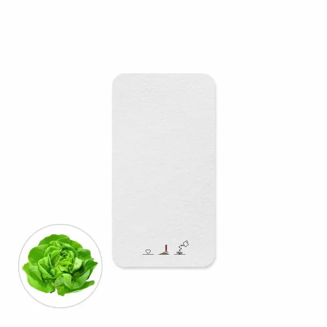 CARTE A PLANTER ENSEMENCEE PERSONNALISABLE 'HORTUS FORME' - salades