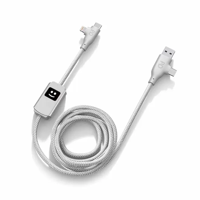 CABLE DE CHARGE 100W PERSONNALISABLE 'ALLURE' - argenté