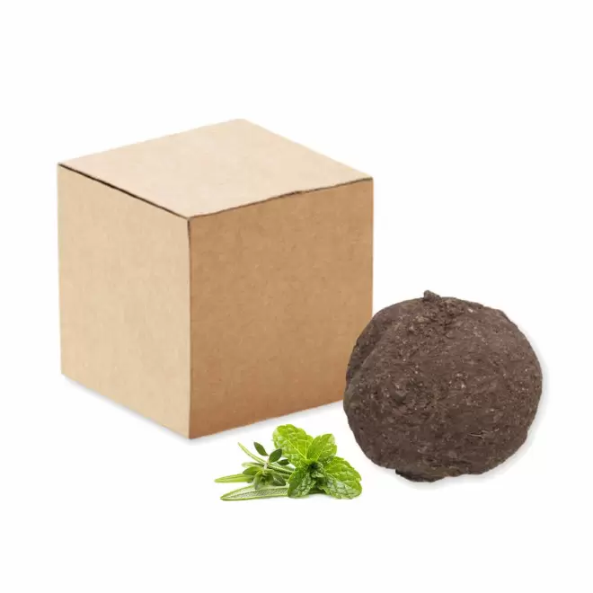 BOMBE A GRAINES PERSONNALISABLE 'BLOMA QUADRI' - herbes aromatiques