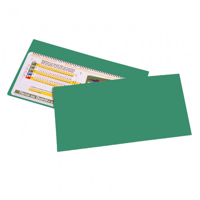 POCHETTE PERSONNALISABLE PMU 1 VOLET 'LUCKY LUCK' - jade