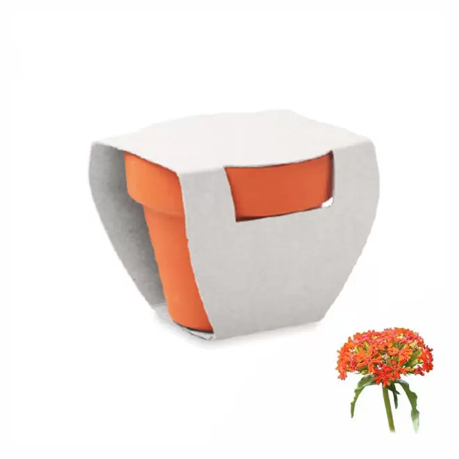 KIT DE PLANTATION PUBLICITAIRE 'POPPY QUADRI' - croix de jérusalem