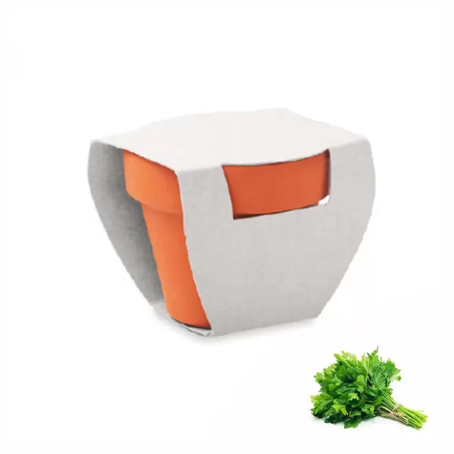 KIT DE PLANTATION PUBLICITAIRE 'POPPY QUADRI' - persil