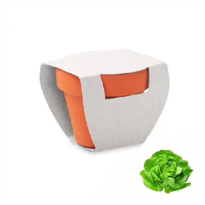 KIT DE PLANTATION PUBLICITAIRE 'POPPY QUADRI' - salade
