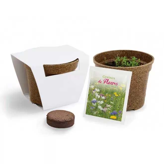 KIT PERSONNALISABLE DE PLANTATION JARDIN ECOLO 'ARROZY RRIZ' - mélanges de fleurs