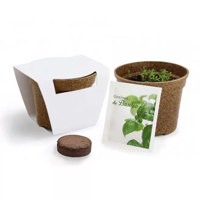KIT PERSONNALISABLE DE PLANTATION JARDIN ECOLO 'ARROZY RRIZ' - basilic
