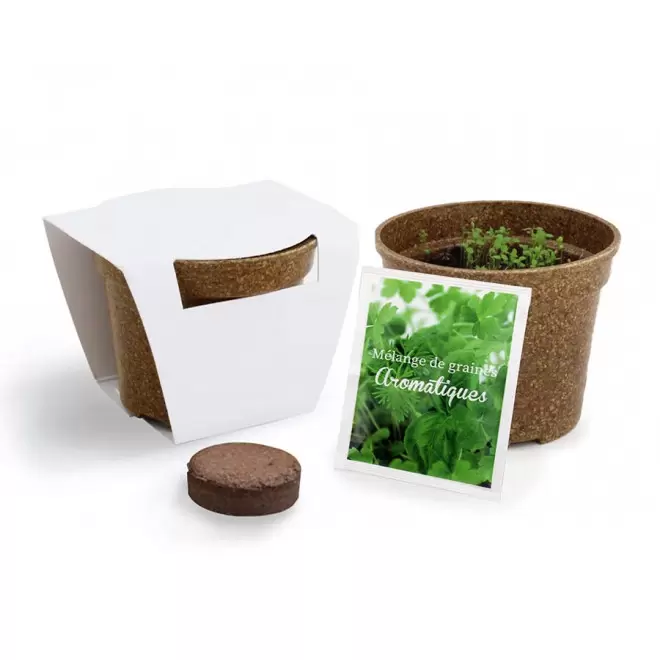 KIT PERSONNALISABLE DE PLANTATION JARDIN ECOLO 'ARROZY RRIZ' - assortis