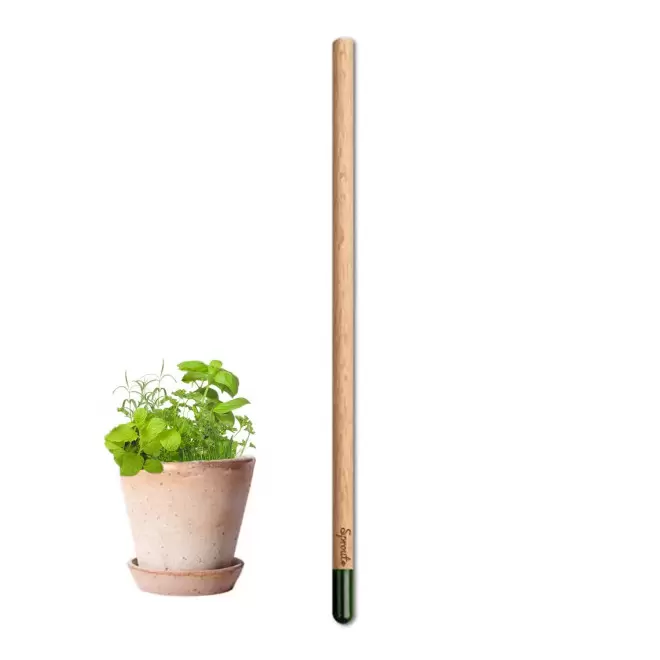 CRAYON GRAINES CARTONETTE PERSONNALISABLE 'POUSS'    - mélange aromatiques