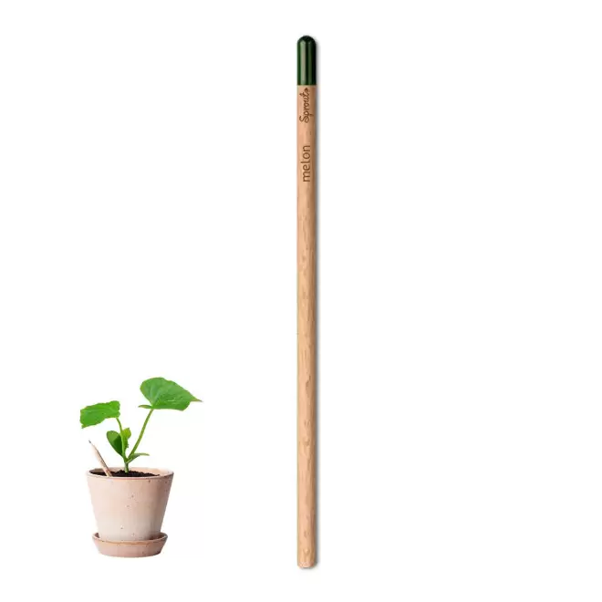 CRAYON PAPIER GRAINES PERSONNALISABLE 'POUSS' - melon