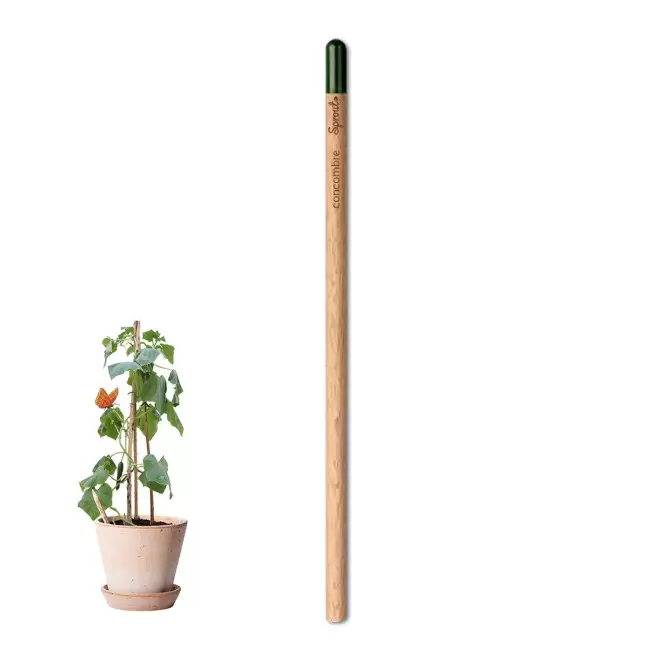 CRAYON PAPIER GRAINES PERSONNALISABLE 'POUSS' - concombre