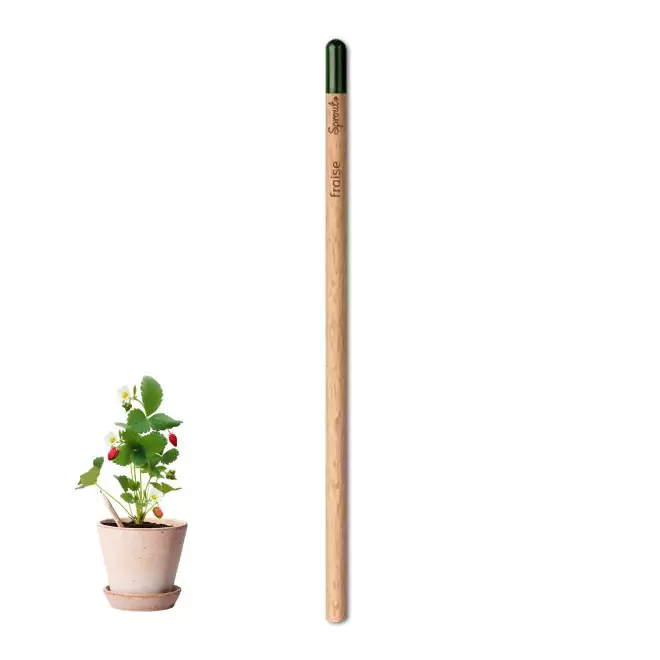 CRAYON PAPIER GRAINES PERSONNALISABLE 'POUSS' - fraise