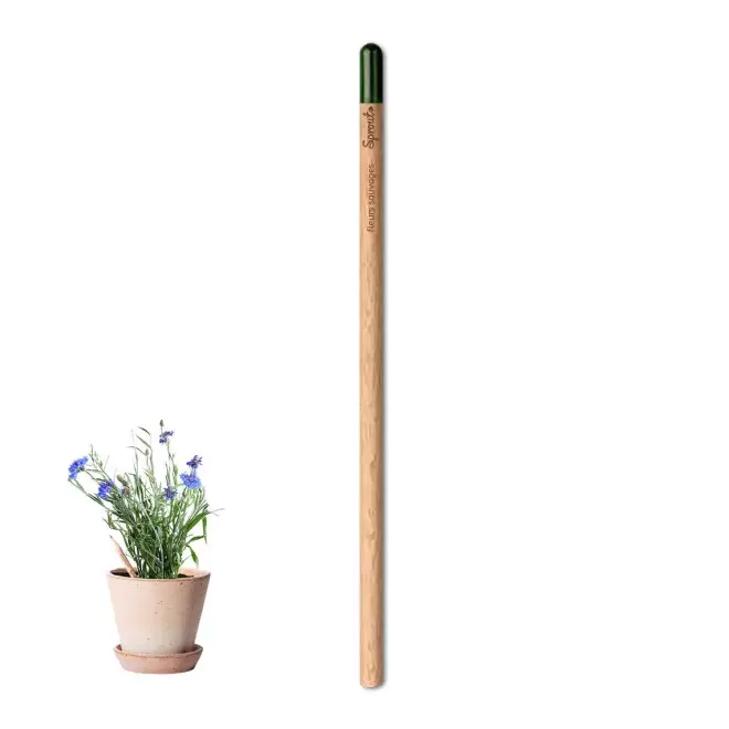 CRAYON PAPIER GRAINES PERSONNALISABLE 'POUSS' - fleurs sauvages