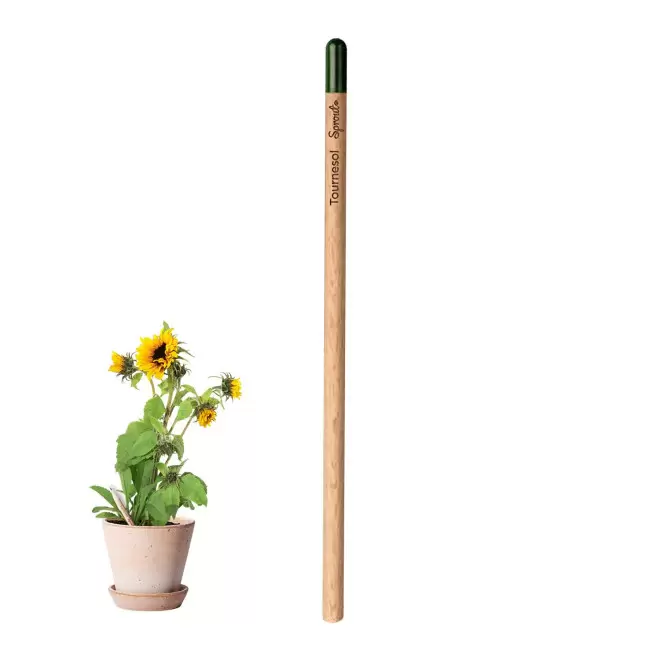 CRAYON PAPIER GRAINES PERSONNALISABLE 'POUSS' - tournesol