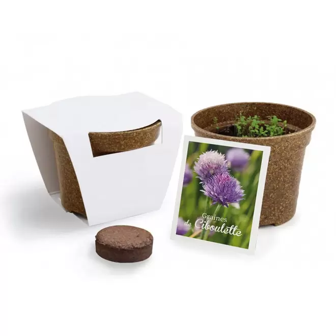 KIT PERSONNALISABLE DE PLANTATION JARDIN ECOLO 'ARROZY RRIZ' - ciboulette