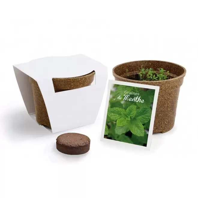 KIT PERSONNALISABLE DE PLANTATION JARDIN ECOLO 'ARROZY RRIZ' - menthe