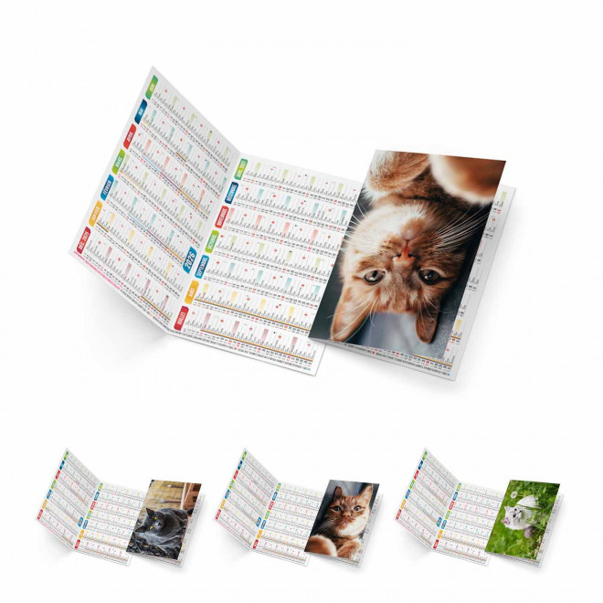CALENDRIER POCHE ILLUSTRE PERSONNALISABLE 'FOLDO' - chats
