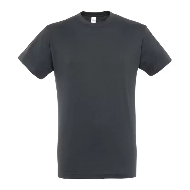 TEE-SHIRT MIXTE PERSONNALISE 'TITAN' - gris