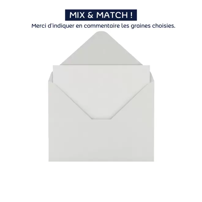 CARTE 2 VOLETS AVEC GRAINES PERSONNALISABLE 'POUVOI' - carte sous enveloppe