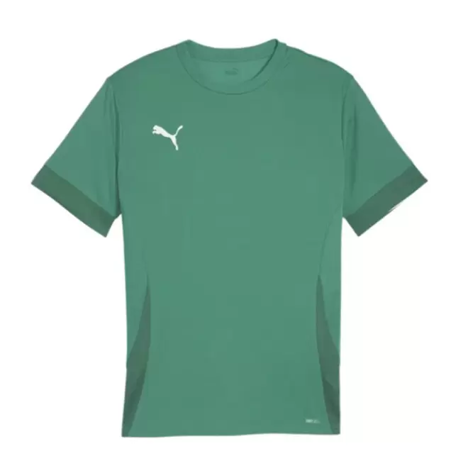MAILLOT FOOT HOMME PERSONNALISE 'TEAMGOAL' - vert