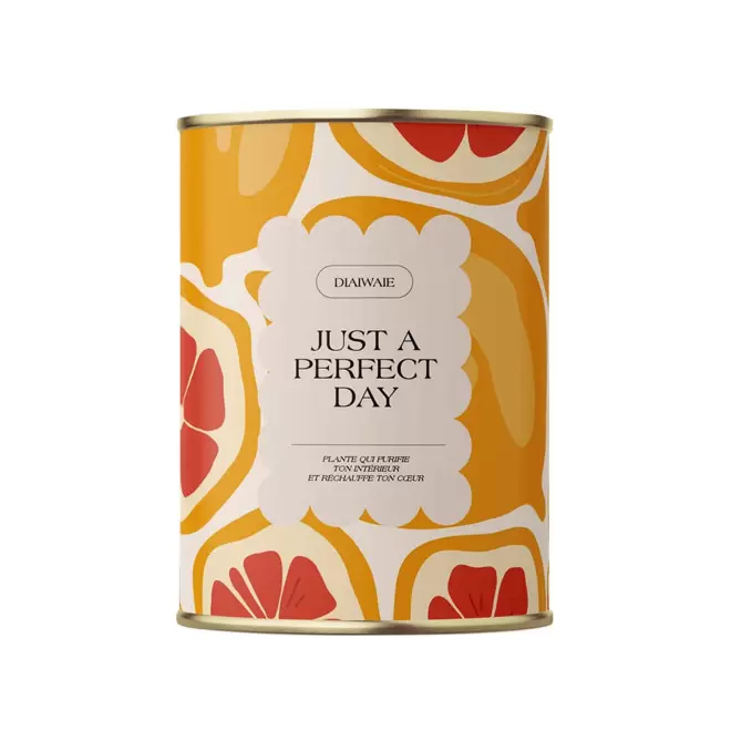 PLANTE EN POT PERSONNALISABLE 'PURETE PETIT' - Just a perfect day