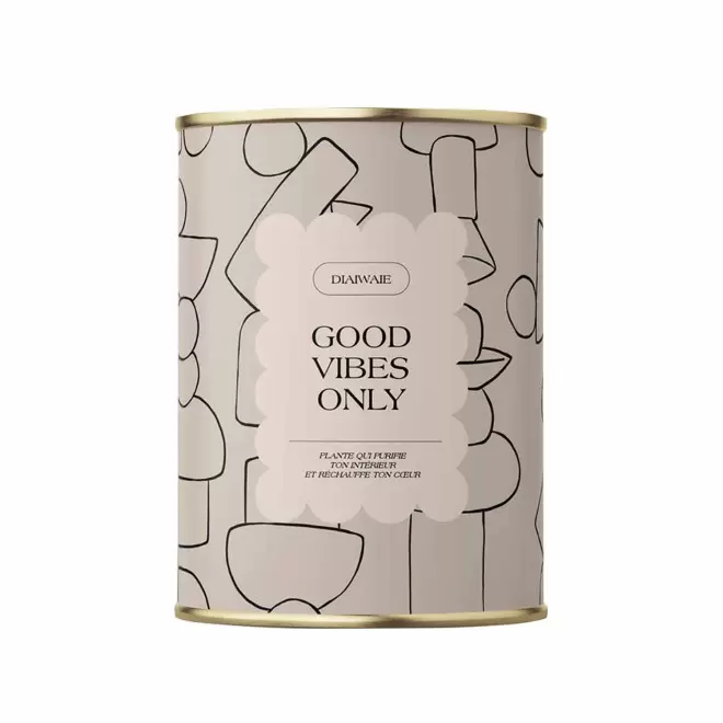 PLANTE EN POT PERSONNALISABLE 'PURETE GRAND' - Good vibes only