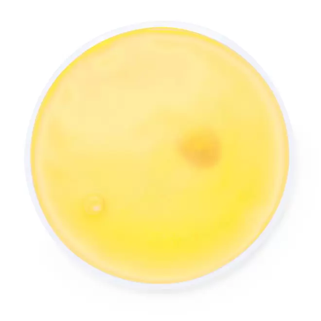 CHAUFFERETTE PERSONNALISABLE 'GROENLAND ROND' - jaune