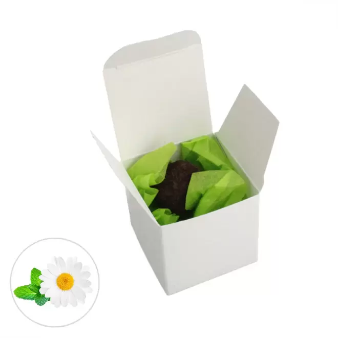 BOMBE À GRAINES PUBLICITAIRE 'BOULY' - camomille matricaire