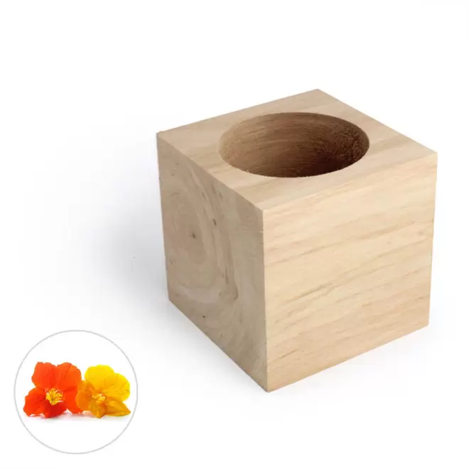 CUBE EN BOIS À GRAINES PERSONNALISÉ 'EPIA' - capucine