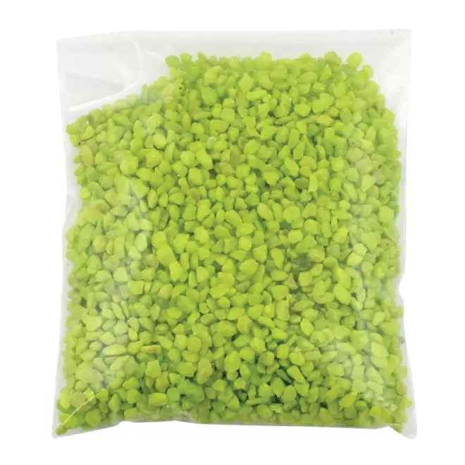 KIT TERRARIUM PLANTE PERSONNALISABLE 'TERRARIUS' - transparent/vert