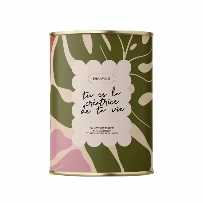 PLANTE EN POT PERSONNALISABLE 'PURETE GRAND' - Tu es la créatrice de ta vie