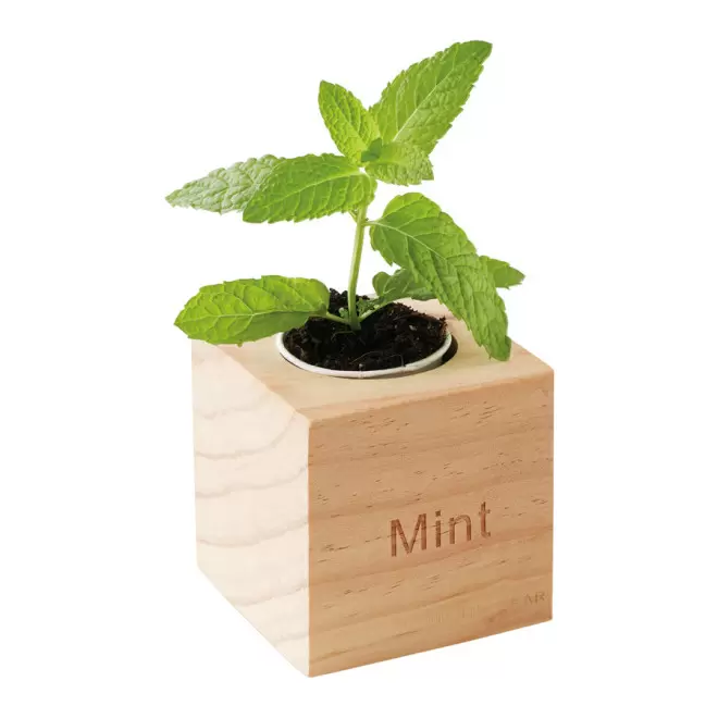 KIT DE PLANTATION CUBE EN BOIS PERSONNALISABLE 'HAZIA' - menthe